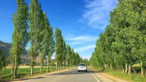 Advanced Car Rental Beirut Lebanon