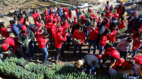 Advanced Car Rental Lebanon