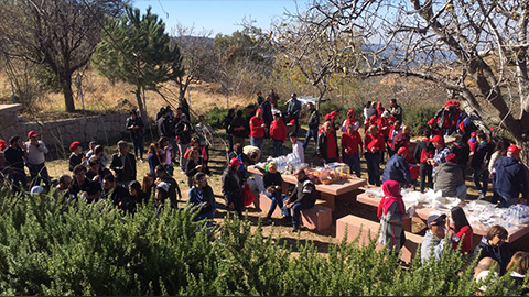 Advanced Car Rental Beirut Lebanon