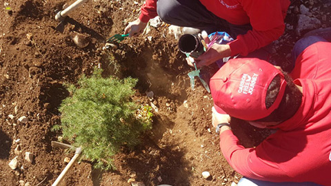 Advanced Car Rental Lebanon